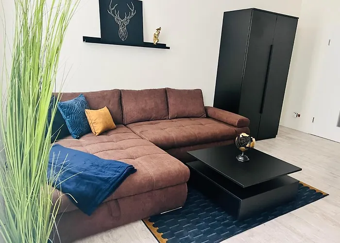 Harzfokus - Happynest - #netflix#wlan#zentrum *